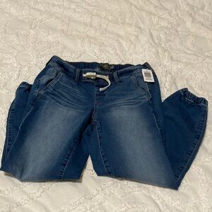 Torrid Dark Blue Women's Jeggings